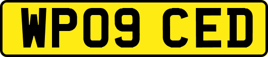 WP09CED