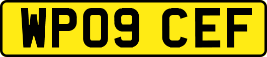 WP09CEF
