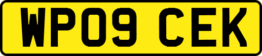 WP09CEK