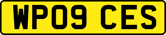 WP09CES