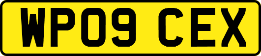 WP09CEX