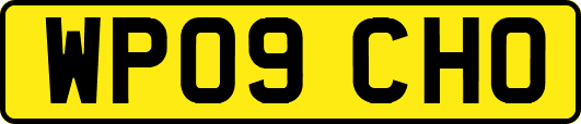 WP09CHO