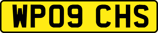 WP09CHS