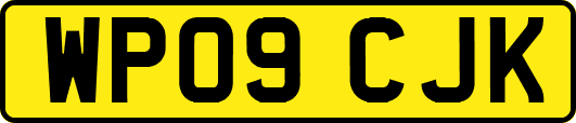WP09CJK