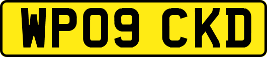 WP09CKD