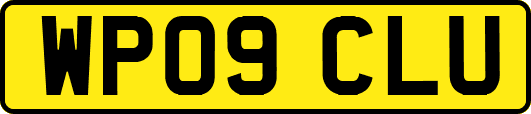 WP09CLU