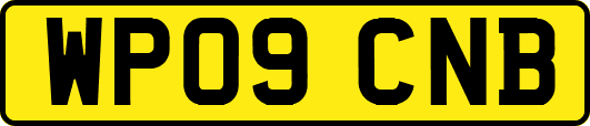 WP09CNB