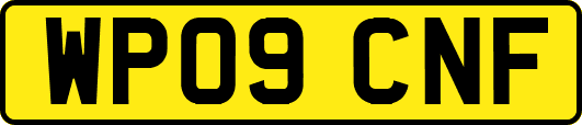 WP09CNF