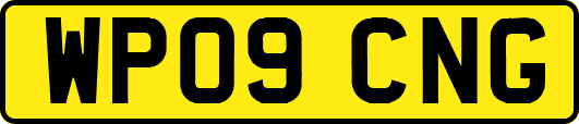 WP09CNG