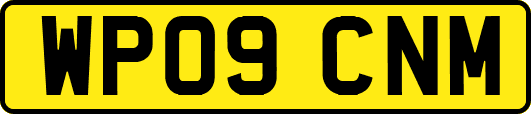 WP09CNM