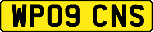 WP09CNS