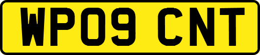WP09CNT