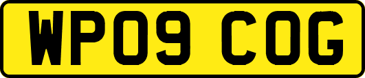 WP09COG