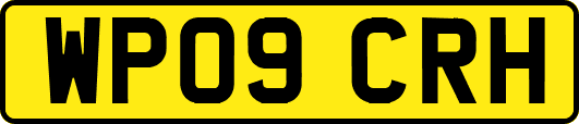 WP09CRH