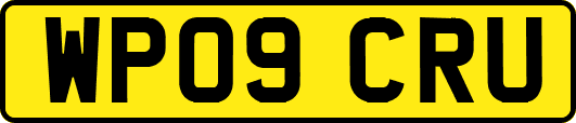 WP09CRU
