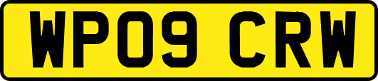 WP09CRW