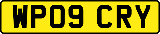 WP09CRY