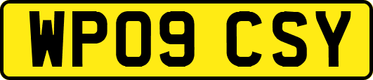 WP09CSY