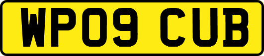 WP09CUB