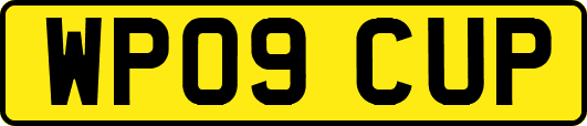 WP09CUP