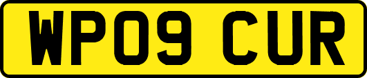 WP09CUR