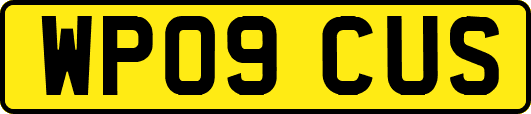 WP09CUS