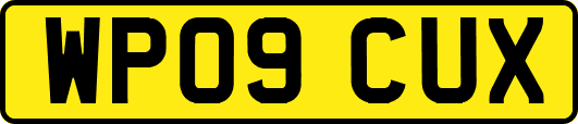 WP09CUX