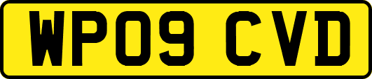 WP09CVD