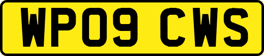 WP09CWS