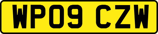 WP09CZW