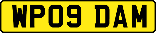 WP09DAM