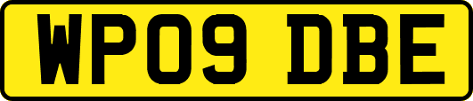 WP09DBE