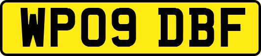 WP09DBF