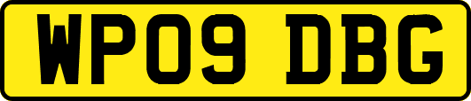 WP09DBG