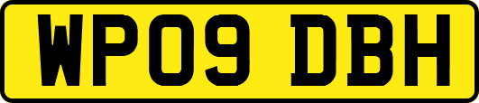 WP09DBH