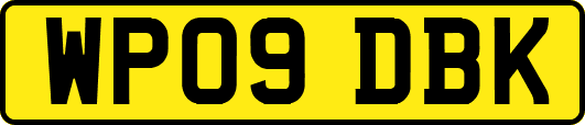 WP09DBK