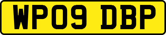 WP09DBP