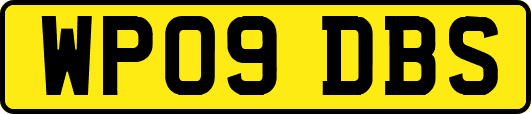 WP09DBS