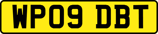 WP09DBT