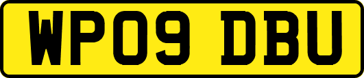 WP09DBU