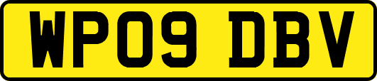 WP09DBV