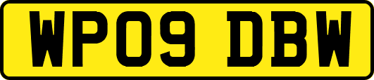 WP09DBW