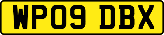WP09DBX