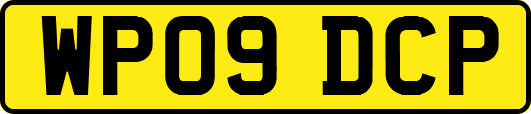 WP09DCP