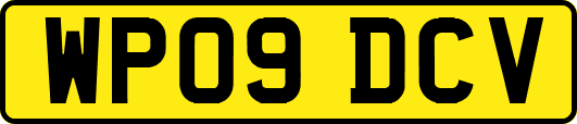 WP09DCV