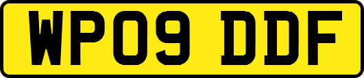 WP09DDF