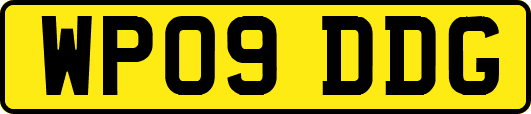 WP09DDG