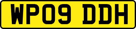 WP09DDH