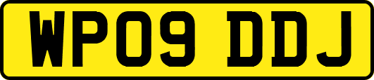 WP09DDJ