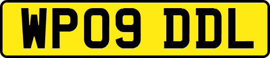 WP09DDL